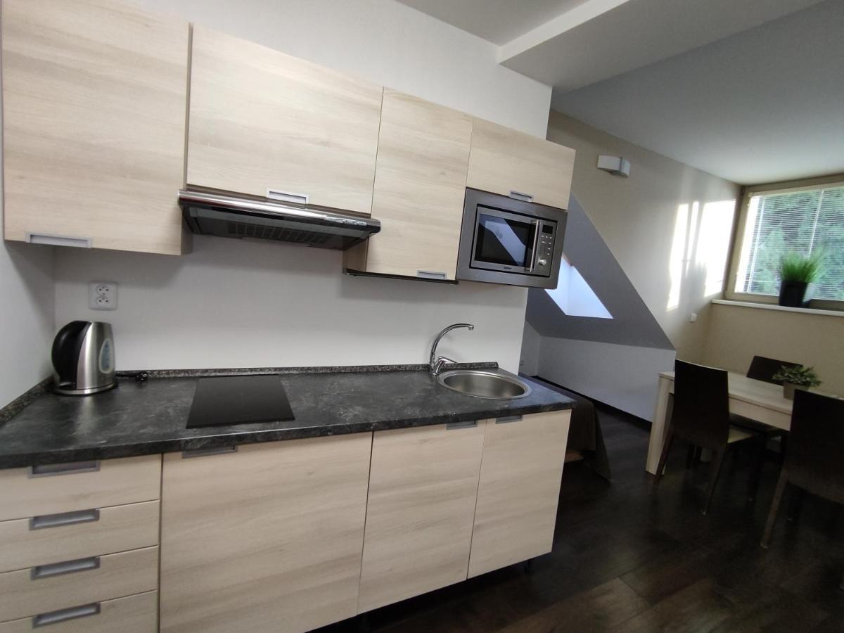 Anensky Apartman C303 - S O2 Tv A Stabilni Rychlou Wifi, S Moznosti Dokoupeni Bufetovych Snidani - By Relax Harrachov Εξωτερικό φωτογραφία