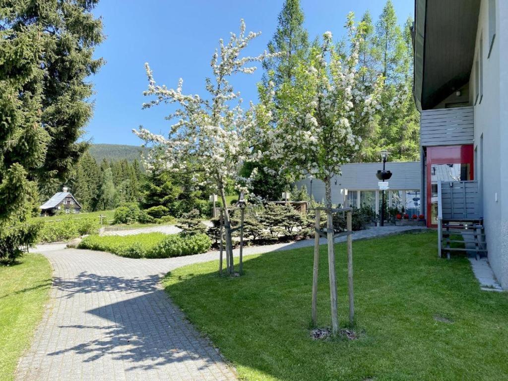 Anensky Apartman C303 - S O2 Tv A Stabilni Rychlou Wifi, S Moznosti Dokoupeni Bufetovych Snidani - By Relax Harrachov Εξωτερικό φωτογραφία